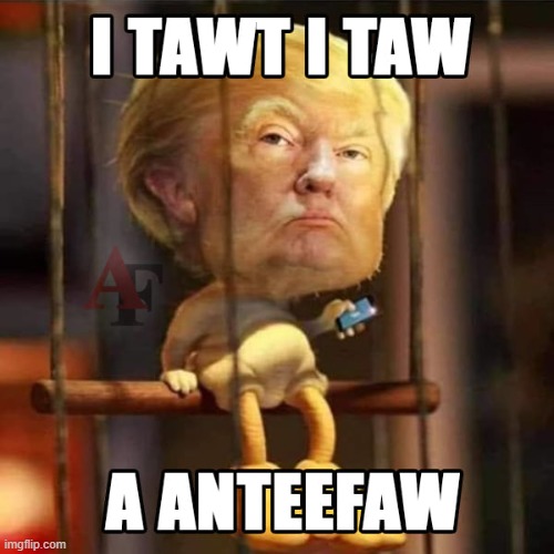 image tagged in antifa,donald trump,tweety bird | made w/ Imgflip meme maker