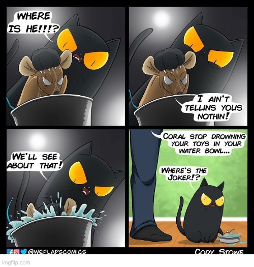 WeFlaps… starring Coral the cat | image tagged in cats,comics,weflaps,coral,cosplay cat | made w/ Imgflip meme maker