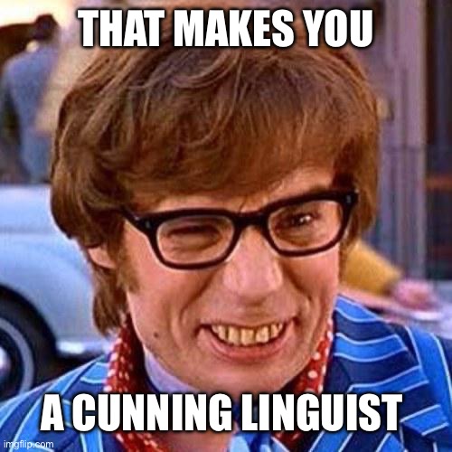 Austin Powers Wink | THAT MAKES YOU A CUNNING LINGUIST | image tagged in austin powers wink | made w/ Imgflip meme maker