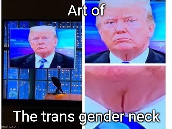 Art of The trans gender neck | made w/ Imgflip meme maker