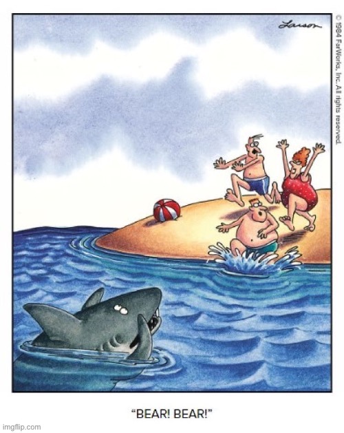 The naive beach-goers were about to realize their folly… | image tagged in the far side,comics,beach,ocean,shark,misdirection play | made w/ Imgflip meme maker