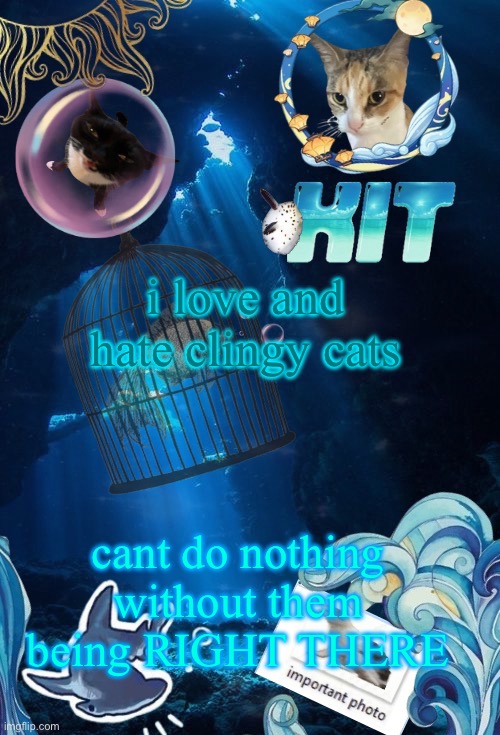 “wherever you go… I’LL BE THERE!!!” | i love and hate clingy cats; cant do nothing without them being RIGHT THERE | image tagged in silly announcement template by asriel | made w/ Imgflip meme maker