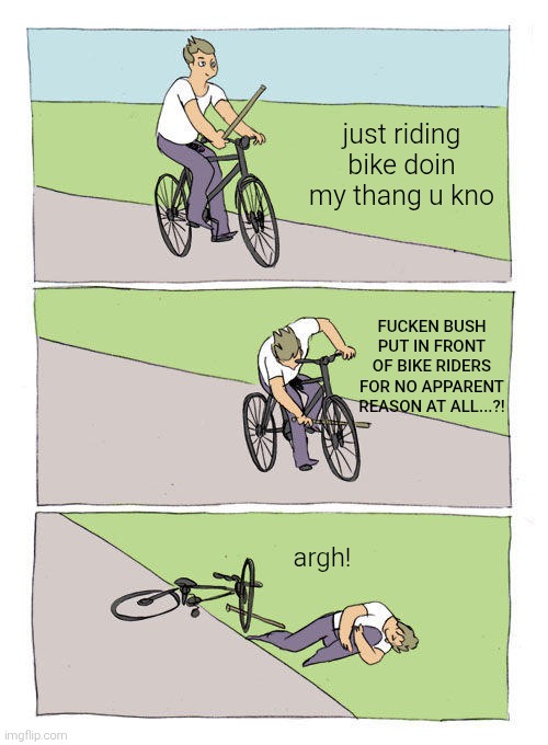 Bike Fall Meme | just riding bike doin my thang u kno FUCKEN BUSH PUT IN FRONT OF BIKE RIDERS FOR NO APPARENT REASON AT ALL...?! argh! | image tagged in memes,bike fall | made w/ Imgflip meme maker