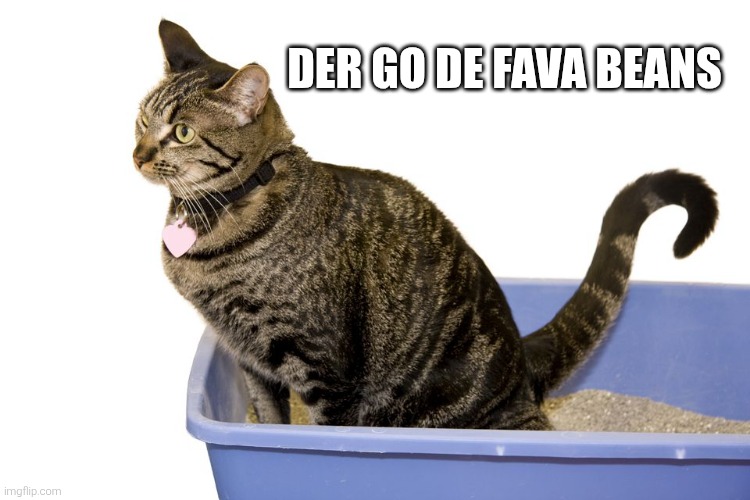 cat-litter | DER GO DE FAVA BEANS | image tagged in cat-litter | made w/ Imgflip meme maker