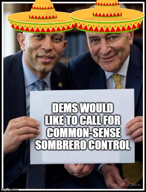 sombreros | DEMS WOULD LIKE TO CALL FOR  COMMON-SENSE SOMBRERO CONTROL | image tagged in hakeem jeffries chuck schumer sign,democrats,mexican | made w/ Imgflip meme maker
