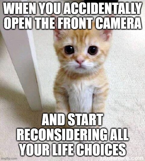WHEN YOU ACCIDENTALLY OPEN THE FRONT CAMERA; AND START RECONSIDERING ALL YOUR LIFE CHOICES | WHEN YOU ACCIDENTALLY OPEN THE FRONT CAMERA; AND START RECONSIDERING ALL YOUR LIFE CHOICES | image tagged in memes,cute cat,camera,life,choices,help i accidentally | made w/ Imgflip meme maker