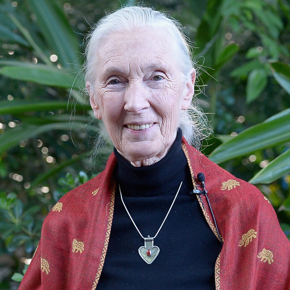 Jane Goodall Blank Meme Template