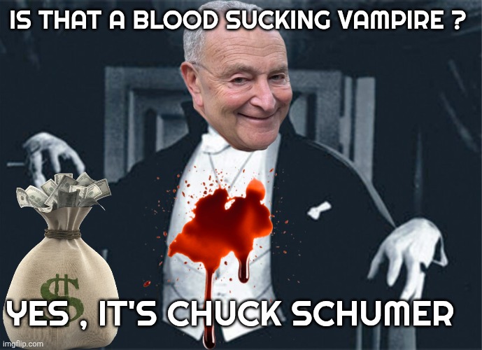 chuck schumer meme | IS THAT A BLOOD SUCKING VAMPIRE ? YES , IT'S CHUCK SCHUMER | image tagged in vampire | made w/ Imgflip meme maker