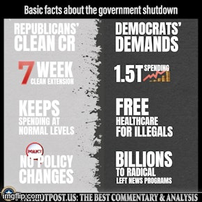 Basic facts about the Schumer shutdown | image tagged in political,reposts,basic facts about the schumer shutdown | made w/ Imgflip meme maker