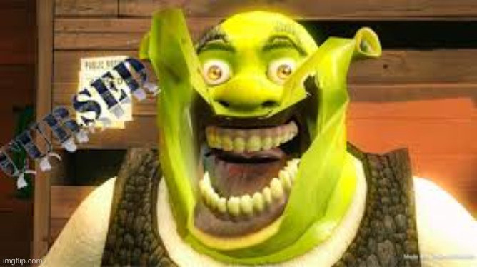 Shrek u good | image tagged in shrek | made w/ Imgflip meme maker