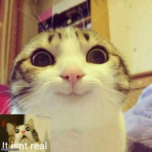 My image | It isnt real | image tagged in memes,smiling cat | made w/ Imgflip meme maker