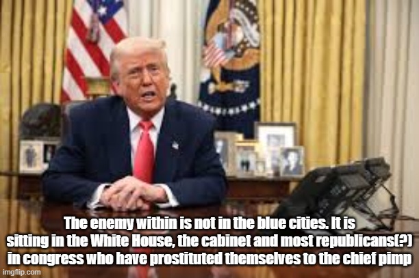The enemy within is not in the blue cities. It is sitting in the White House, the cabinet and most republicans(?) in congress who have prostituted themselves to the chief pimp | made w/ Imgflip meme maker
