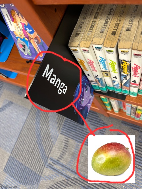 Meme | image tagged in funny,mango,manga | made w/ Imgflip meme maker