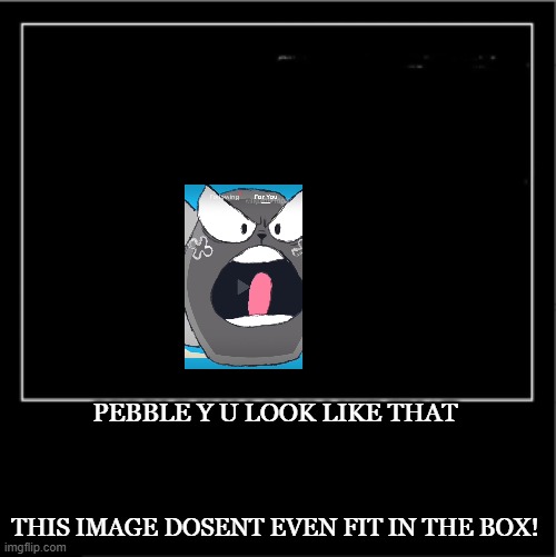 bruh | PEBBLE Y U LOOK LIKE THAT; THIS IMAGE DOSENT EVEN FIT IN THE BOX! | image tagged in demotivational poster | made w/ Imgflip meme maker