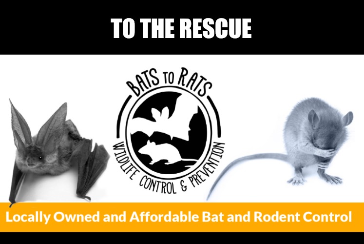TO THE RESCUE | made w/ Imgflip meme maker