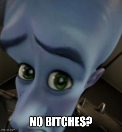 Megamind no bitches | NO BITCHES? | image tagged in megamind no bitches | made w/ Imgflip meme maker