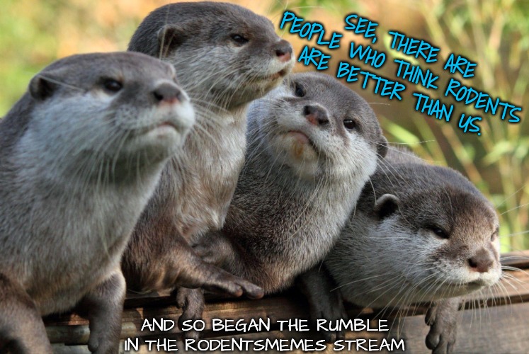 Rodents suck!! | SEE, THERE ARE PEOPLE WHO THINK RODENTS ARE BETTER THAN US. AND SO BEGAN THE RUMBLE IN THE RODENTSMEMES STREAM | image tagged in rumble,let's get 'em | made w/ Imgflip meme maker