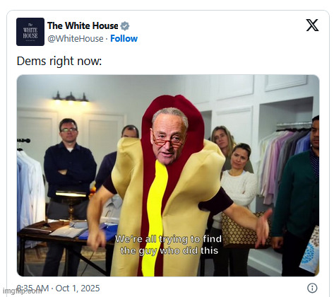 dems right now | image tagged in who did this,schumer shutdown | made w/ Imgflip meme maker
