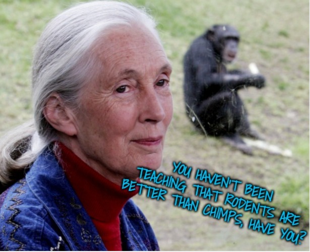 Even the British have been insulted | image tagged in it's hard to insult the british | made w/ Imgflip meme maker