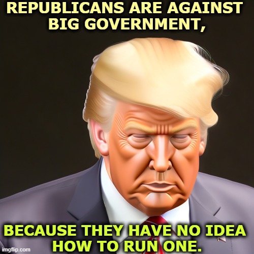 REPUBLICANS ARE AGAINST 
BIG GOVERNMENT, BECAUSE THEY HAVE NO IDEA 
HOW TO RUN ONE. | image tagged in big government,trump,incompetence | made w/ Imgflip meme maker