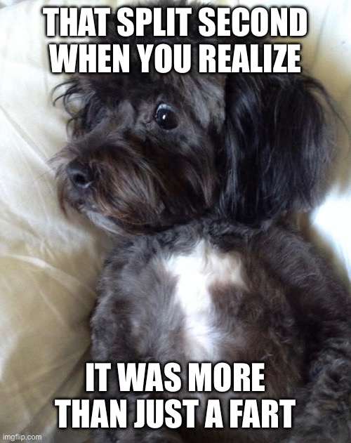 Shock and awwww | THAT SPLIT SECOND WHEN YOU REALIZE; IT WAS MORE THAN JUST A FART | image tagged in shock and awwww | made w/ Imgflip meme maker