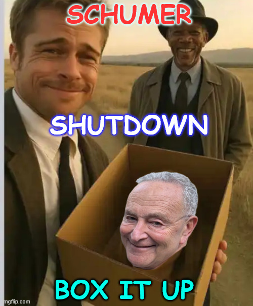 Time to box it up dems | SCHUMER; SHUTDOWN; BOX IT UP | image tagged in schumer,shutdown | made w/ Imgflip meme maker