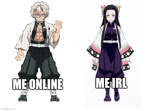 ME IRL; ME ONLINE | image tagged in demon slayer,funny memes,memes,anime | made w/ Imgflip meme maker
