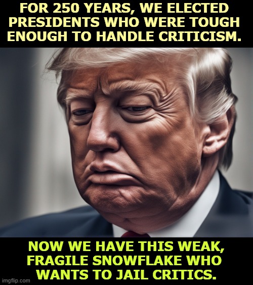 FOR 250 YEARS, WE ELECTED 
PRESIDENTS WHO WERE TOUGH 
ENOUGH TO HANDLE CRITICISM. NOW WE HAVE THIS WEAK,
FRAGILE SNOWFLAKE WHO 
WANTS TO JAIL CRITICS. | image tagged in trump,weak,delicate,fragile,showflake,criticism | made w/ Imgflip meme maker
