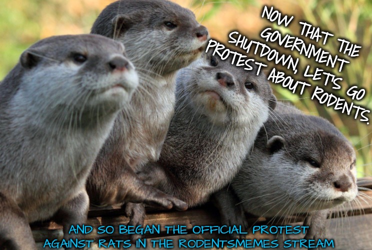 Gov shutdown leads to protest about rats | NOW THAT THE GOVERNMENT SHUTDOWN, LET'S GO PROTEST ABOUT RODENTS. AND SO BEGAN THE OFFICIAL PROTEST AGAINST RATS IN THE RODENTSMEMES STREAM | image tagged in down with rats,thems gotta go,no migrant mice allowed | made w/ Imgflip meme maker