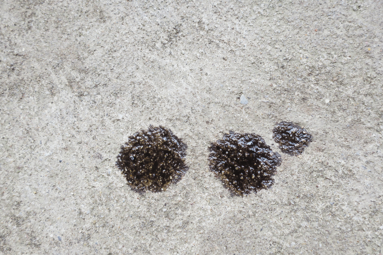 Driveway Stains Blank Meme Template
