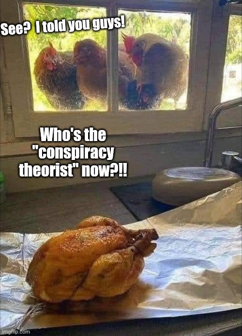 Chicken Little | See?  I told you guys! Who's the "conspiracy theorist" now?!! | image tagged in dinner,chickens,conspiracy theory,chicken | made w/ Imgflip meme maker