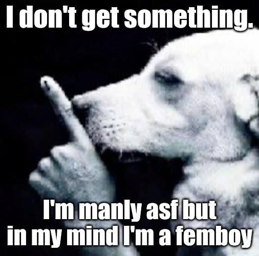 Shh dog | I don't get something. I'm manly asf but in my mind I'm a femboy | image tagged in shh dog | made w/ Imgflip meme maker