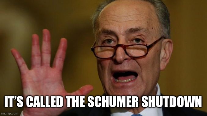 Chuck Schumer | IT’S CALLED THE SCHUMER SHUTDOWN | image tagged in chuck schumer | made w/ Imgflip meme maker