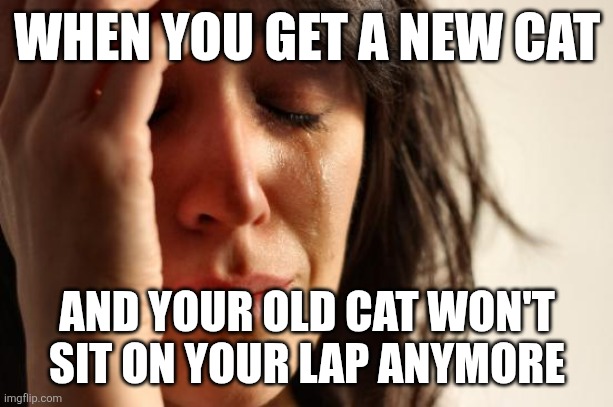 First World Problems Meme | WHEN YOU GET A NEW CAT; AND YOUR OLD CAT WON'T SIT ON YOUR LAP ANYMORE | image tagged in memes,first world problems | made w/ Imgflip meme maker