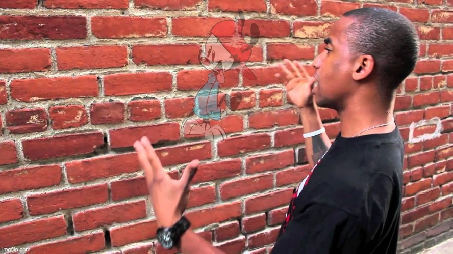 wallo warner Blank Meme Template