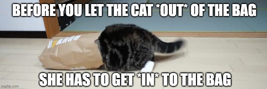 First Things First | BEFORE YOU LET THE CAT *OUT* OF THE BAG; SHE HAS TO GET *IN* TO THE BAG | image tagged in cat,bag | made w/ Imgflip meme maker