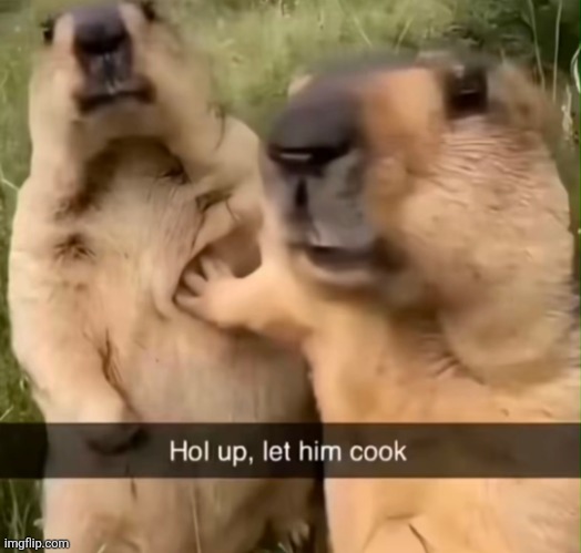 Hol up | image tagged in hol up | made w/ Imgflip meme maker