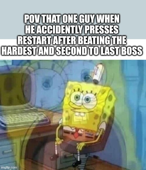 Internal screaming | POV THAT ONE GUY WHEN HE ACCIDENTLY PRESSES RESTART AFTER BEATING THE HARDEST AND SECOND TO LAST BOSS | image tagged in internal screaming | made w/ Imgflip meme maker