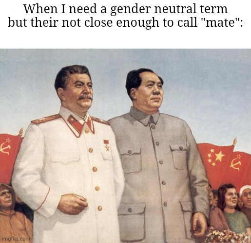Stalin and Mao | When I need a gender neutral term but their not close enough to call "mate": | image tagged in stalin and mao,frost | made w/ Imgflip meme maker