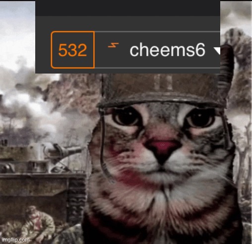 Some people were insane for this | image tagged in thousand yard stare cat | made w/ Imgflip meme maker