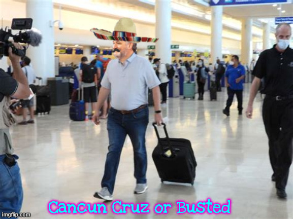 Cancun Cruz the self-deported | Cancun Cruz or Busted | image tagged in cancun cruz the self-deported,teaxass trippin' teddy,canadian schmuck canuck,castoro's cruz,maga mexican | made w/ Imgflip meme maker