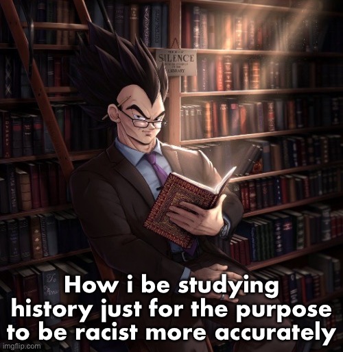 Vegeta reading a book meme | How i be studying history just for the purpose to be racist more accurately | image tagged in vegeta reading a book meme | made w/ Imgflip meme maker