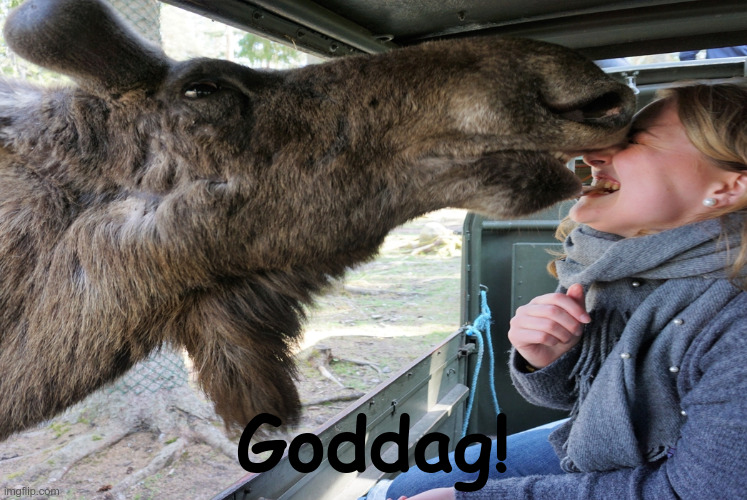 Goddag! | made w/ Imgflip meme maker