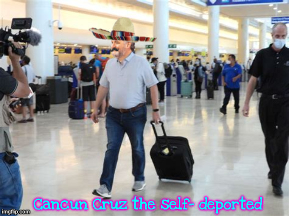 Cancun Cruz the self-deported | image tagged in cancun cruz the self-deported,el scumbago,canuck schmuck,two faced ted,maga merxican,teaxass trippin' ted | made w/ Imgflip meme maker