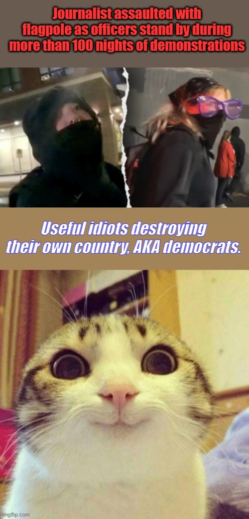No one can deny any longer ' It's the dem party driving the destruction of America ' | Journalist assaulted with flagpole as officers stand by during more than 100 nights of demonstrations; Useful idiots destroying their own country, AKA democrats. | image tagged in memes,smiling cat | made w/ Imgflip meme maker