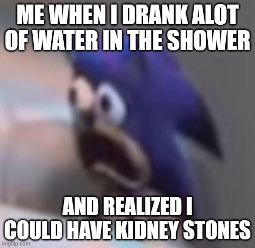 Would You Rather Have Gallstones Or Kidney Stones | ME WHEN I DRANK ALOT OF WATER IN THE SHOWER; AND REALIZED I COULD HAVE KIDNEY STONES | image tagged in traumatised sonic | made w/ Imgflip meme maker