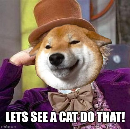 LETS SEE A CAT DO THAT! | made w/ Imgflip meme maker