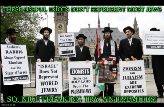 expression memes | THESE USEFUL IDIOTS DON'T REPRESENT MOST JEWS; SO, NICE FREAKING TRY, ANTISEMITES! | made w/ Imgflip meme maker