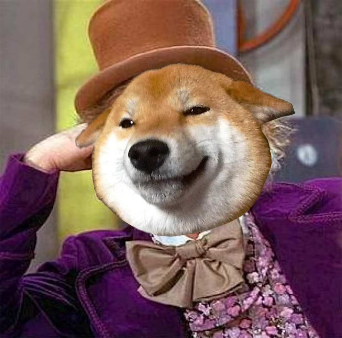 Willy wonka dog Blank Meme Template