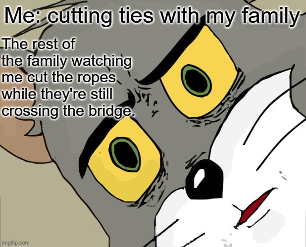 A bridge too far | Me: cutting ties with my family; The rest of the family watching me cut the ropes
while they're still crossing the bridge. | image tagged in memes,unsettled tom | made w/ Imgflip meme maker
